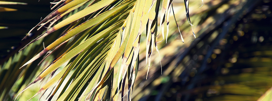 网络ddos监测分析工具